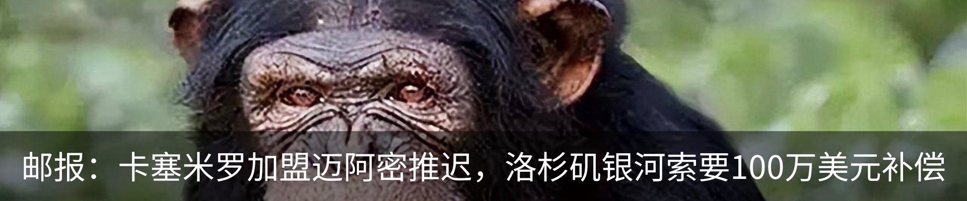 行业资讯